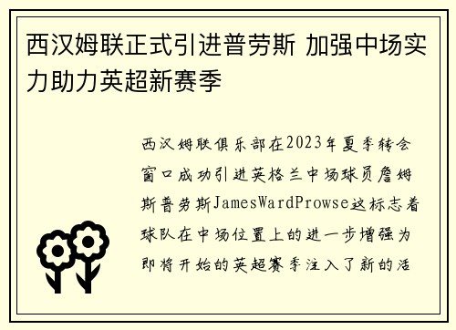西汉姆联正式引进普劳斯 加强中场实力助力英超新赛季